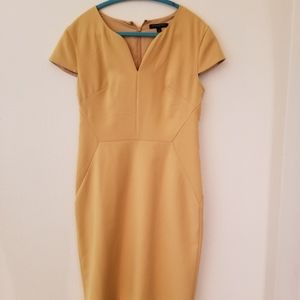 Banana Republic Dress 6